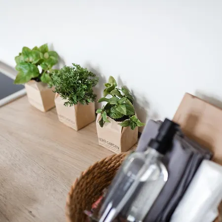 Bismarck 1884 B5 Norderney